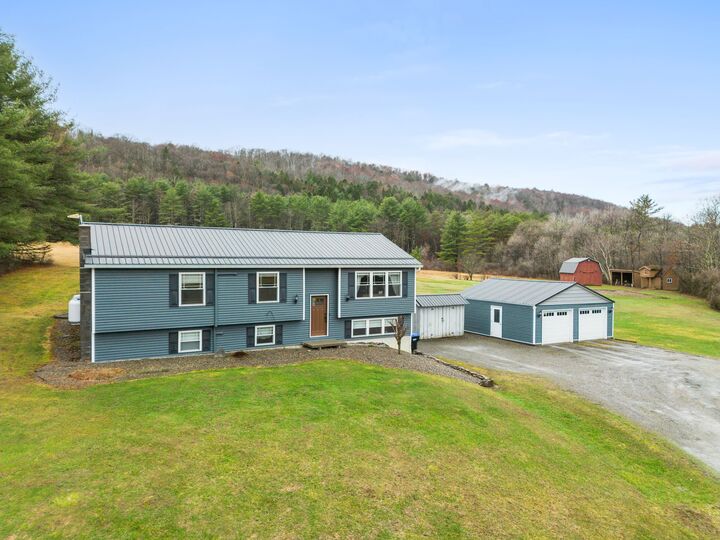 Property Photo: 663 Halsey Valley Rd NY 13734