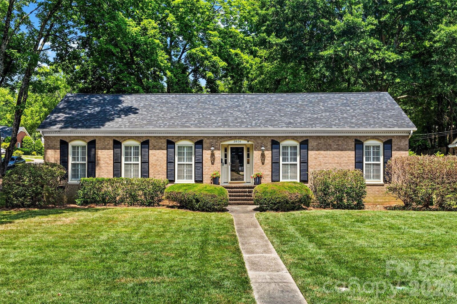 Property Photo:  3826 Severn Avenue  NC 28210 