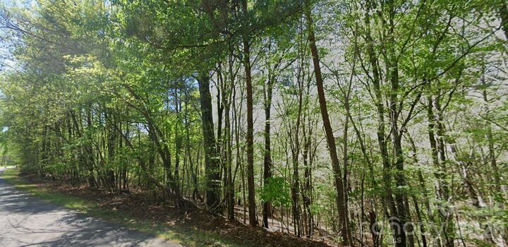 Property Photo:  0 Ridge Lane All Of 6 Portion Of 7  NC 28697 