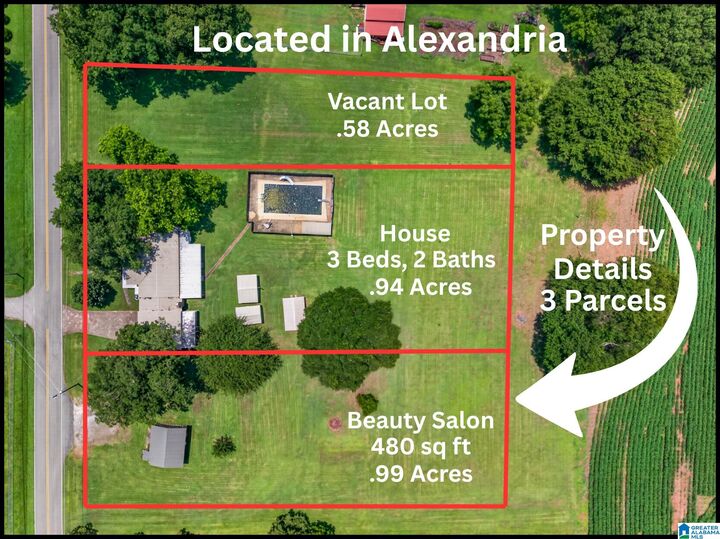 Property Photo:  195 Pattiway Drive  AL 36250 