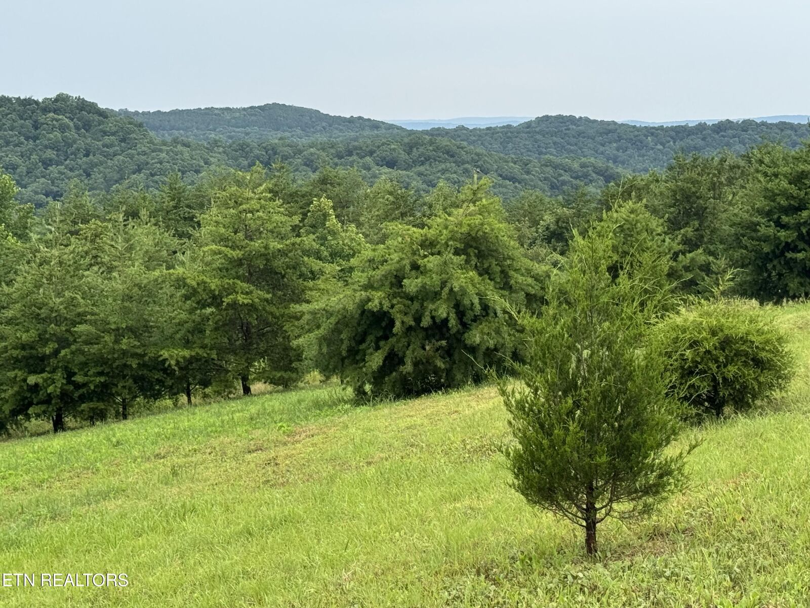 Property Photo:  Melea Lane  TN 37763 