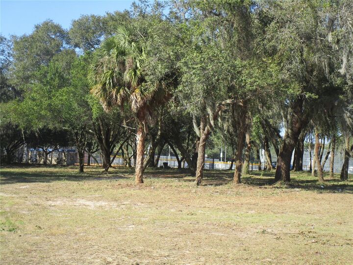 Property Photo:  6718 N Rome Avenue  FL 33604 
