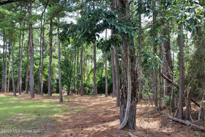 Property Photo: 3.9ac Little Bluff Drive MS 39565