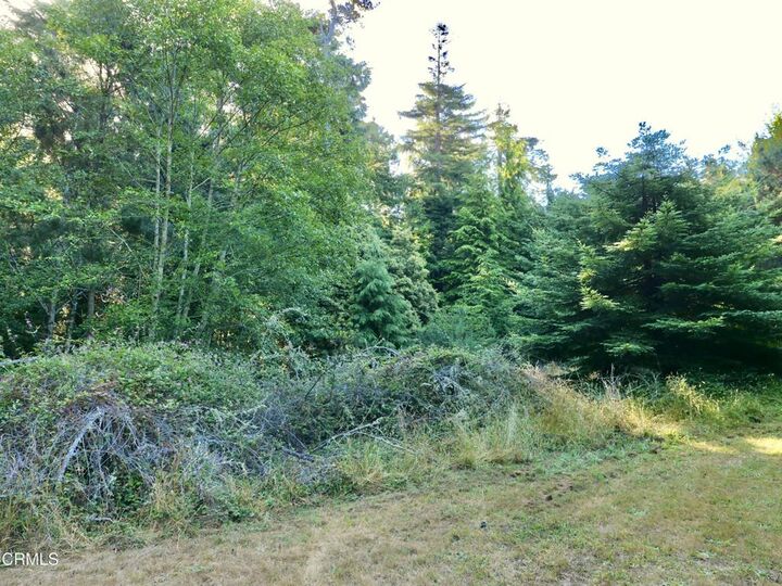 Property Photo:  19130 Dorffi Road  CA 95437 