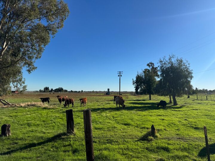 Property Photo: 0 Blake Road CA 95693