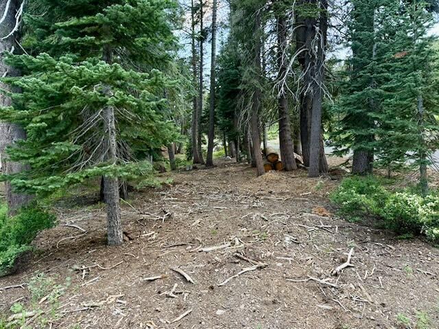Property Photo: 0 Quaking Aspen Road CA 95223