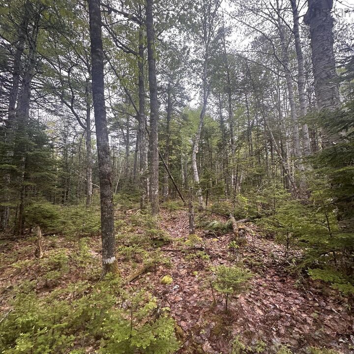 Lot 22 Moose Pit Road — photo 1