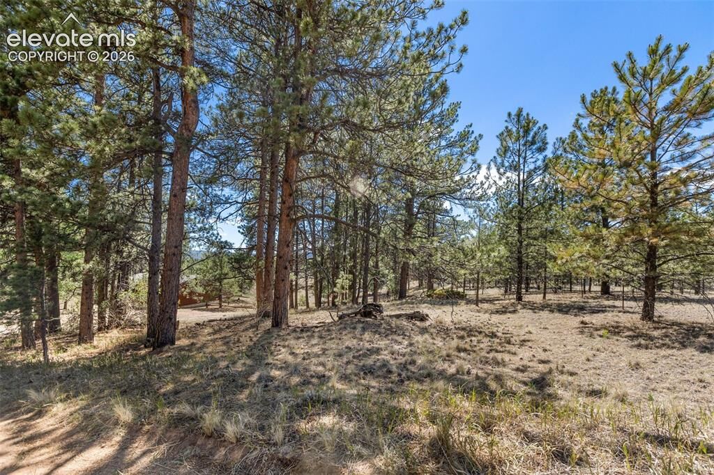 Property Photo:  349 Rhyolite Lane  CO 80816 