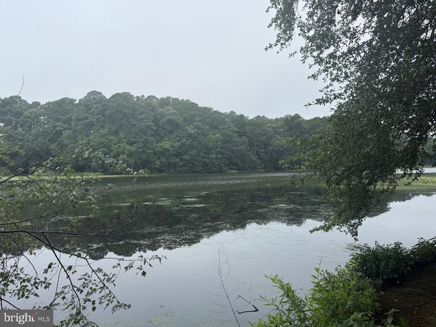 Property Photo: Schumaker Woods Circle MD 21801