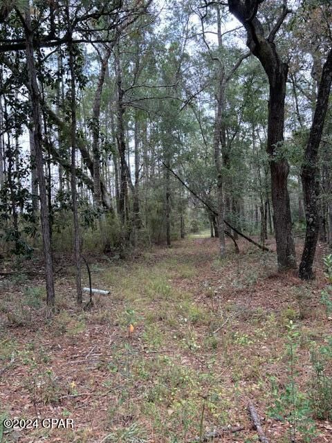 Property Photo: 0000 Everest Drive FL 32428