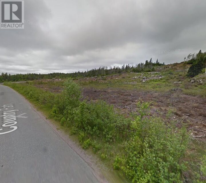 Property Photo:  62 Country Path Road  NL A0A 2R0 