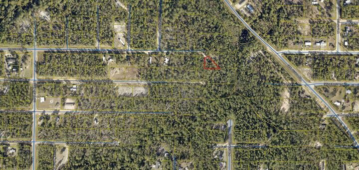 Property Photo: Lot 2 E Buckeye East FL 32433