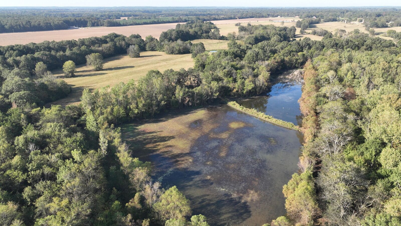 Property Photo:  00 Artesia Road  MS 39759 