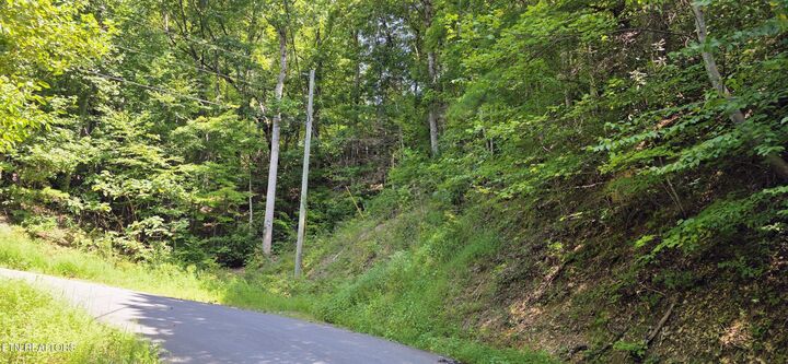 Property Photo:  Lot 0024 Sugar Maple Loop Rd  TN 37862 