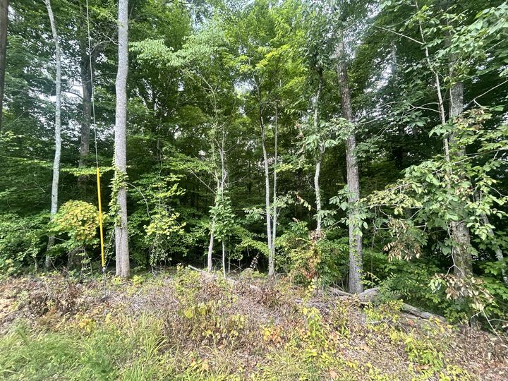 Property Photo:  Tract 68-70 Cd Dogwood Drive  KY 42653 