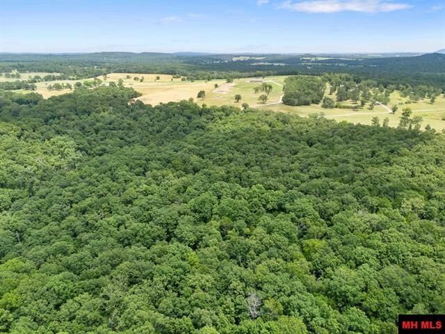 Property Photo: 40 Ac Cr 625 AR 72653