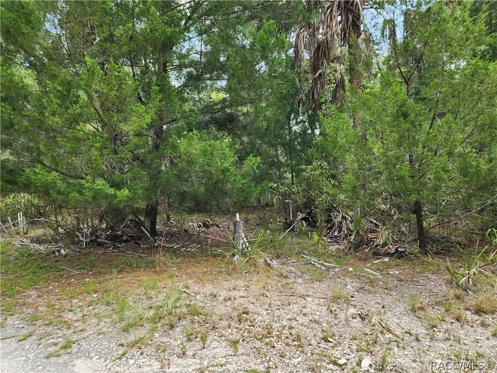 Property Photo:  11335 N Ginny Lane Point  FL 34449 