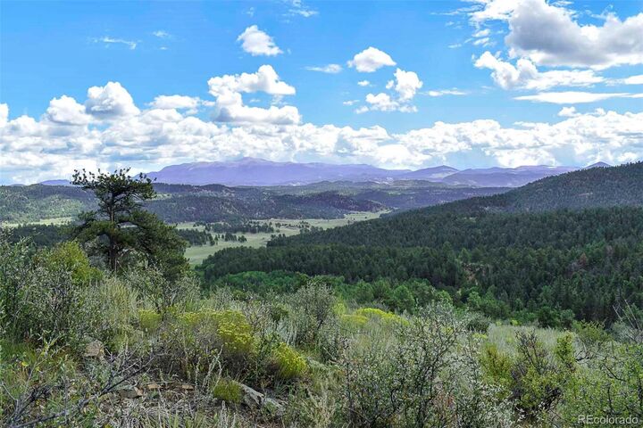Property Photo:  281 Deer Lane  CO 80820 