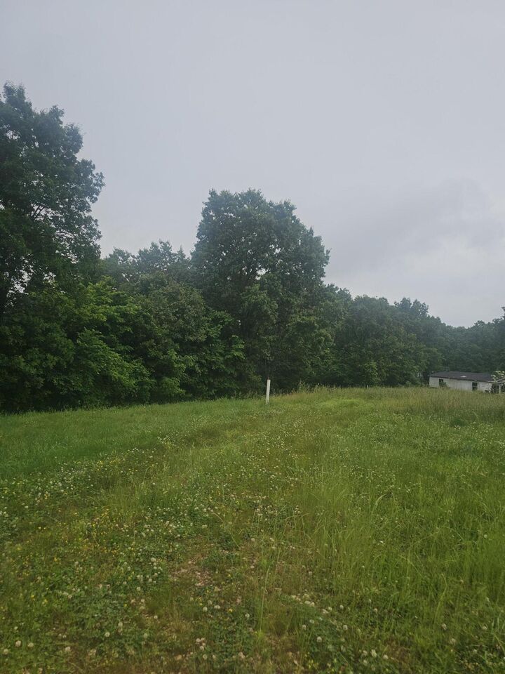 Property Photo:  3646 State Highway 173  MO 65656 