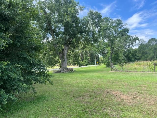 Property Photo:  4180 McConnell Bridge Rd  GA 31620 