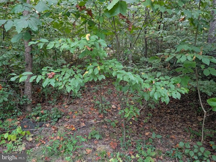 Property Photo: 203 Battlefield Road VA 22508