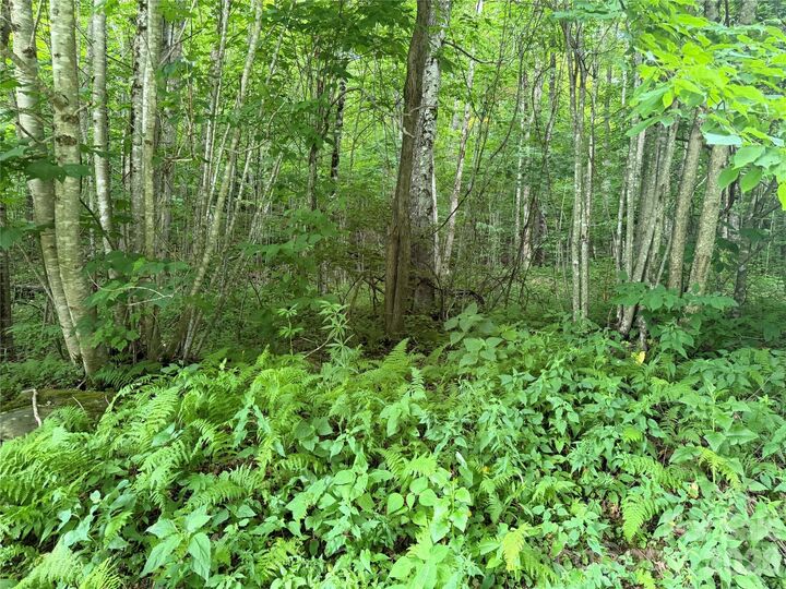 Property Photo:  64A Jonathan Trail  NC 28751 