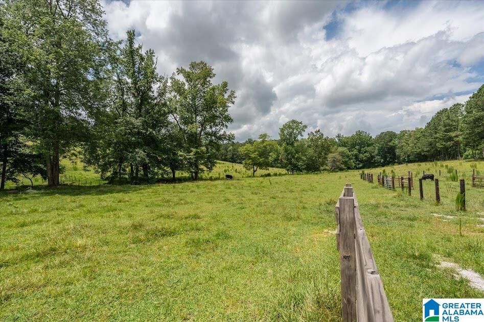 Property Photo: 0 County Road 19 0 AL 36264