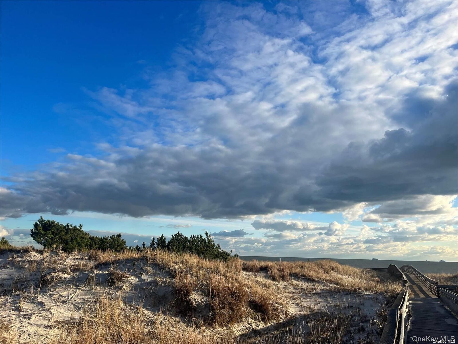 Property Photo:  11 Biarritz  NY 11561 