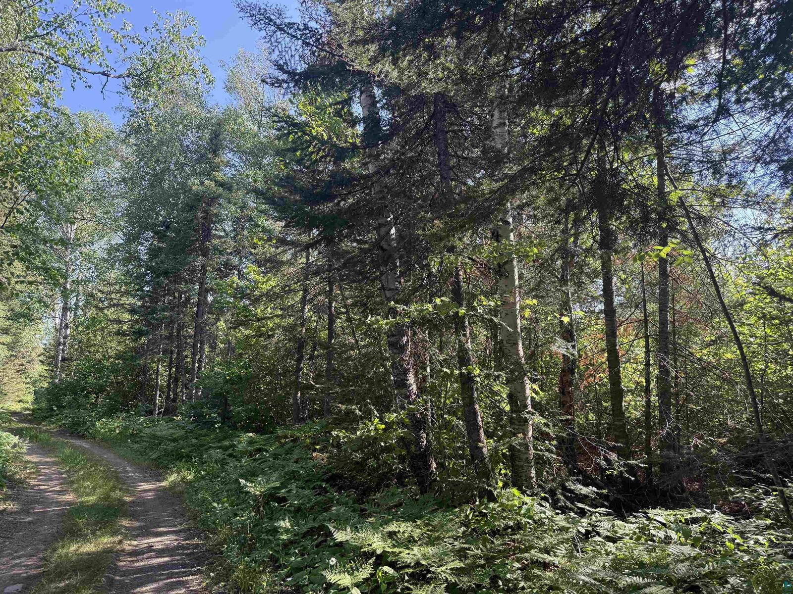 Property Photo: Xxb Rocky Top Trail MN 55606
