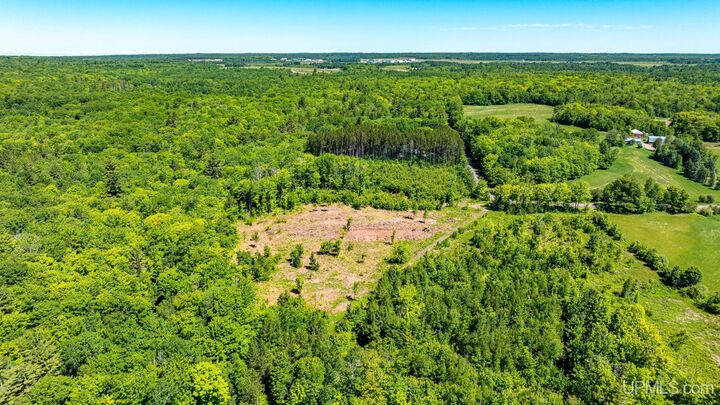 Property Photo:  Tbd 2 Forsman Road  MI 49930 