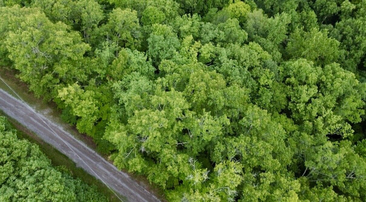 Property Photo: 0 Skyline Dr TN 37166