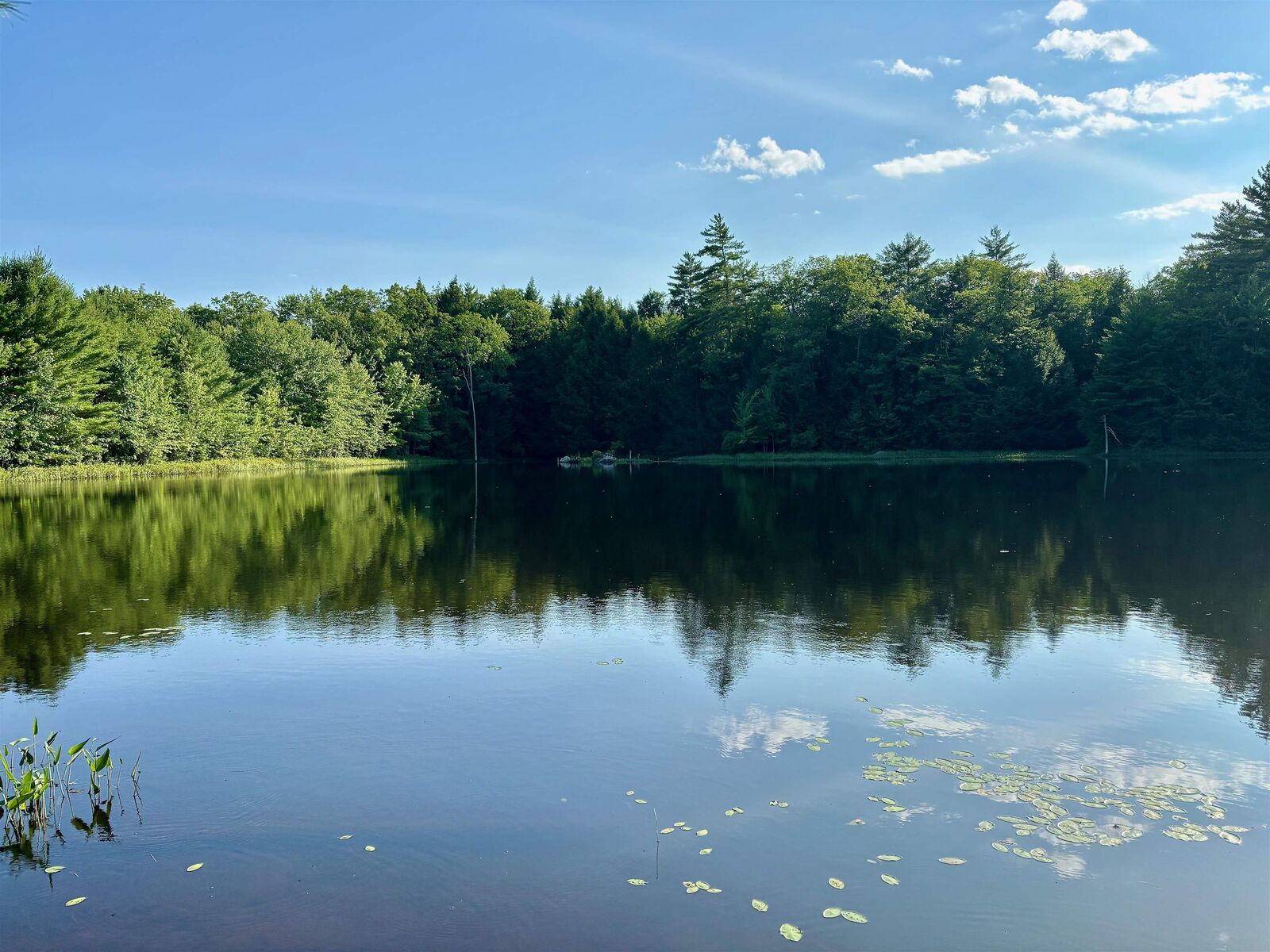 Property Photo: 307 Burnt Hill Road NH 03278
