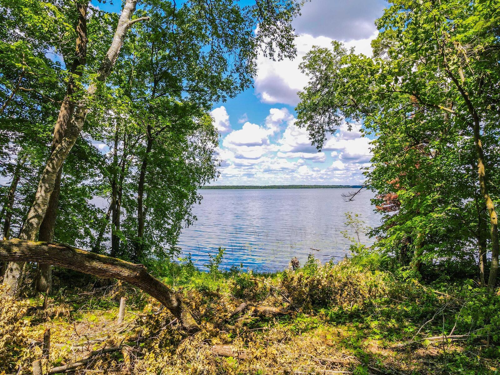 Property Photo: 44698 Idas Road MN 56570