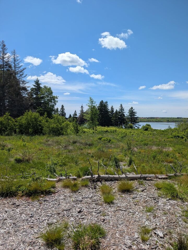 Property Photo:  Lot 7 Sonora Road  PE C0A 2A0 
