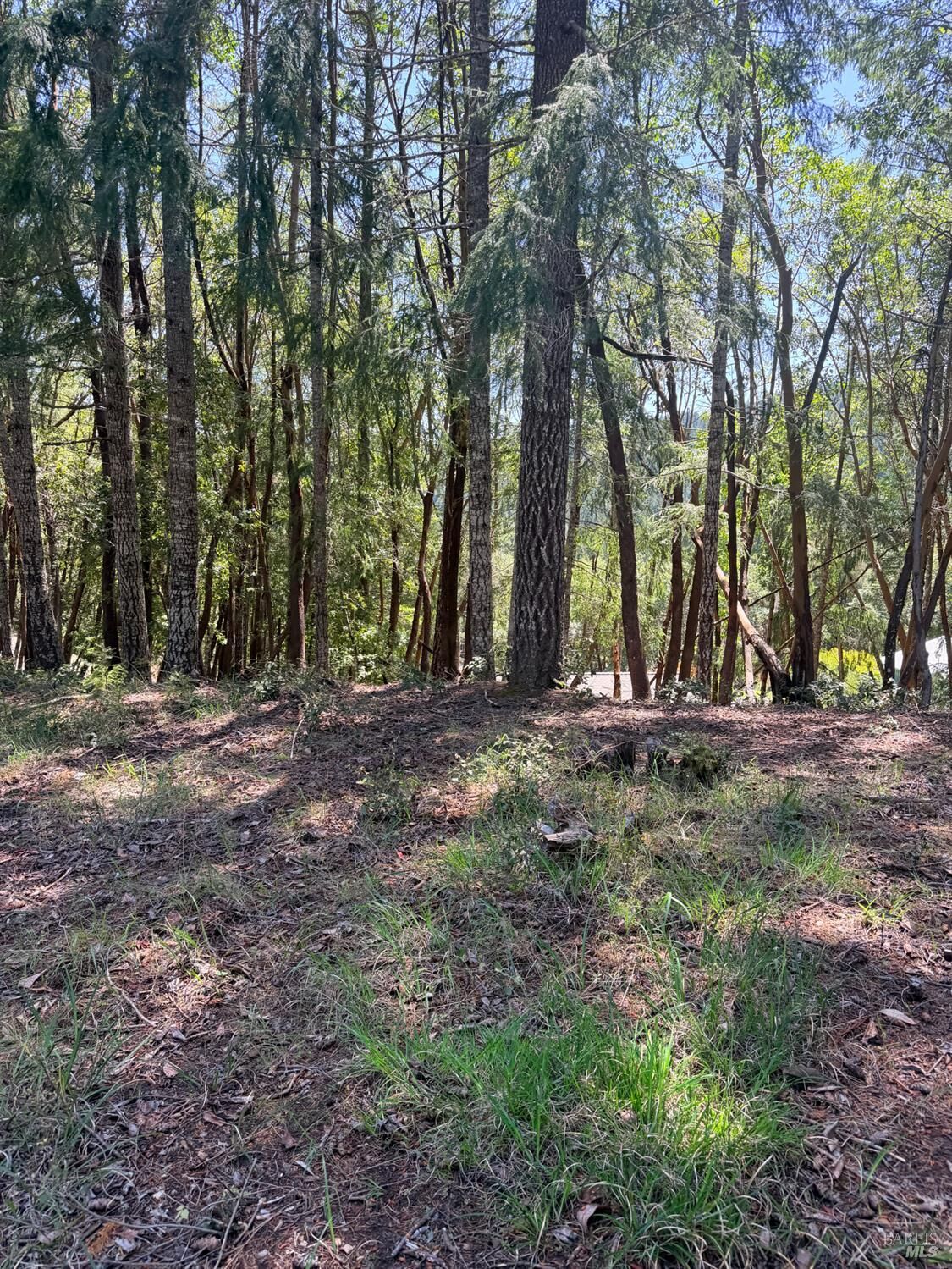 Property Photo:  26940 Bear Drive  CA 95490 