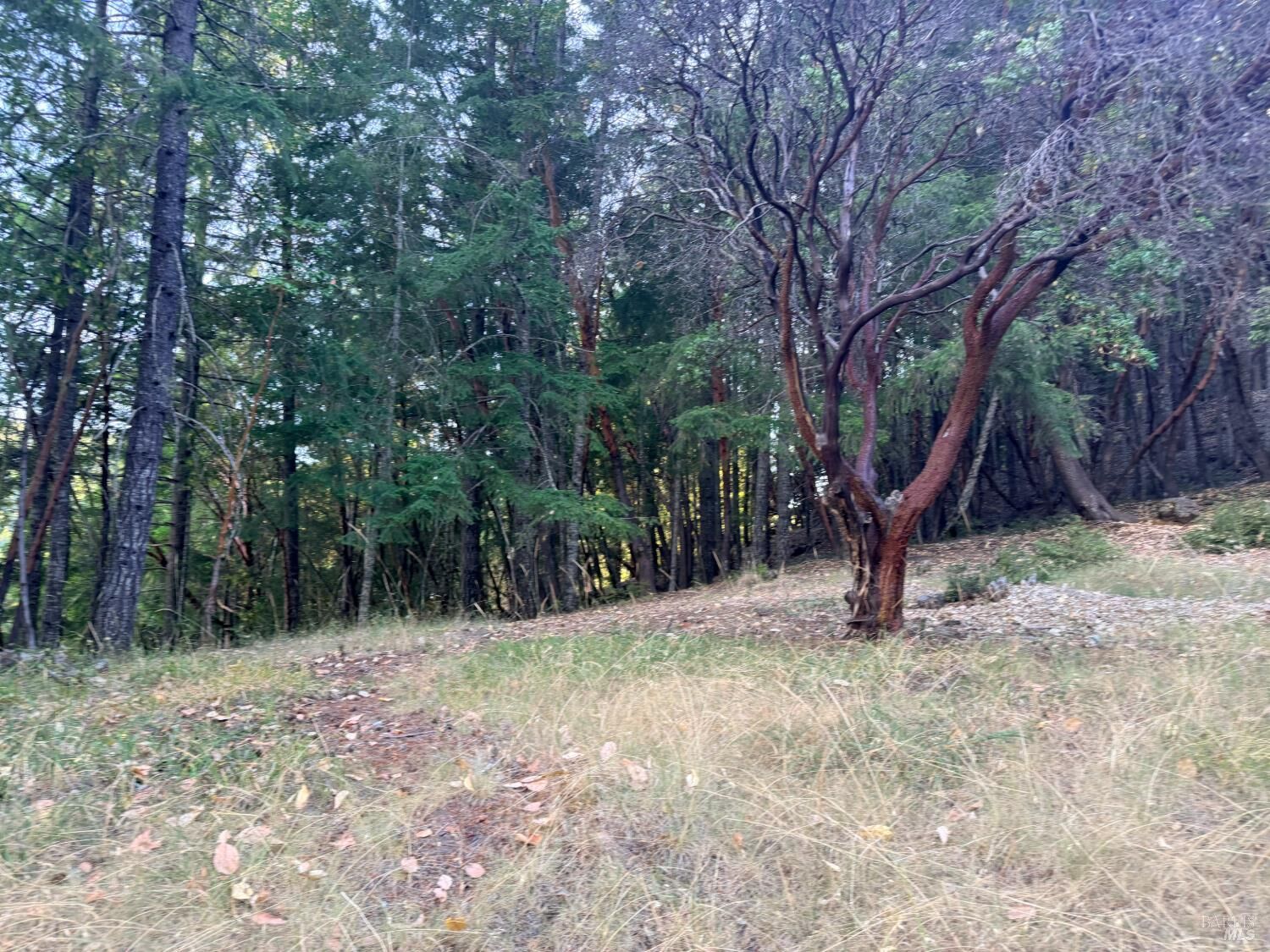 Property Photo:  26940 Bear Drive  CA 95490 