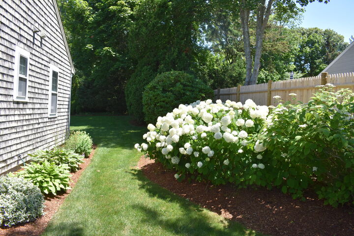 Property Photo:  34 Fisk Street  MA 02670 