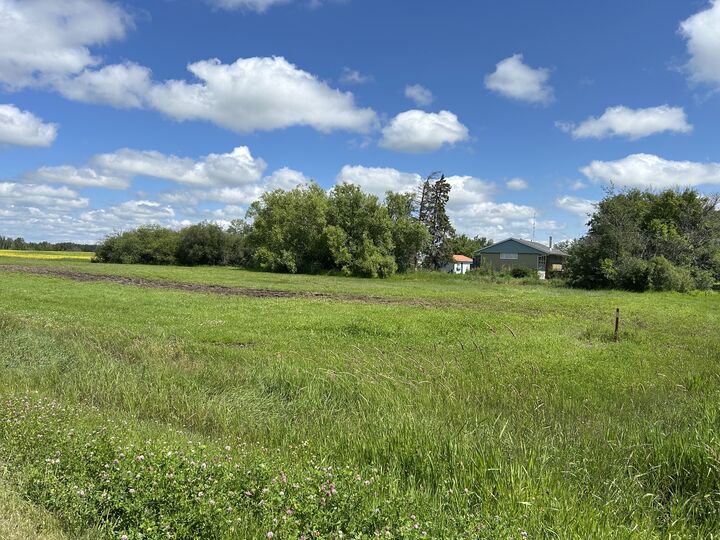 Avenue — photo 1
