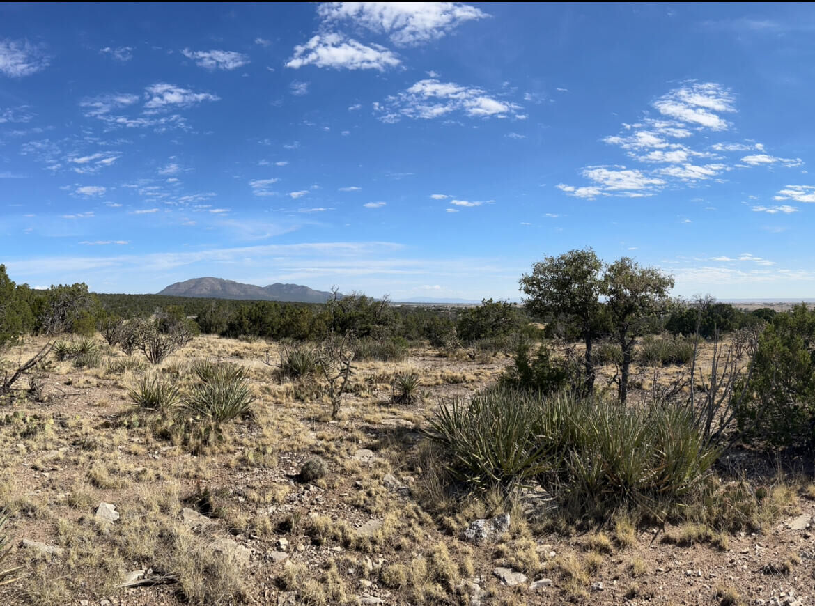 Property Photo: 71 Sunset Boulevard NM 87015