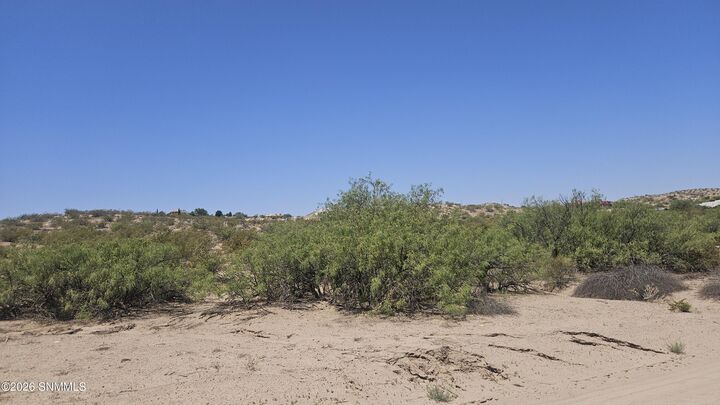 Property Photo:  2940 Mesilla Hills Drive  NM 88005 