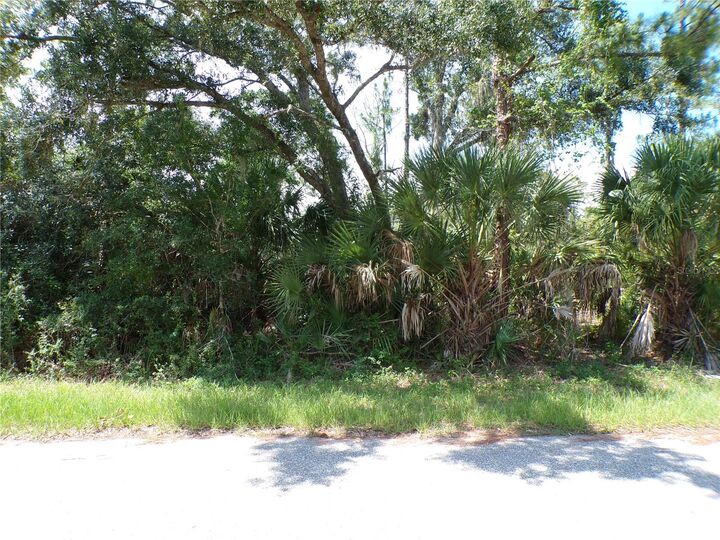 Property Photo:  Armenia Road  FL 34286 