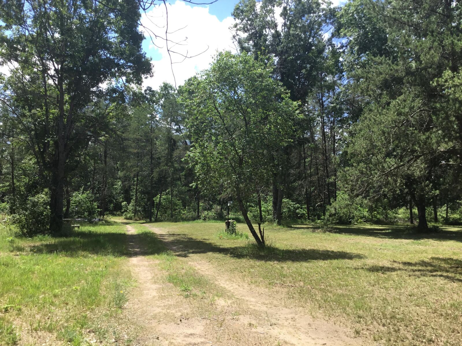 Property Photo: 2597 E Gladys Street MI 49642