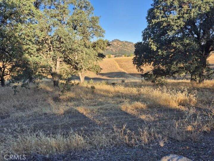Property Photo: 2225 Park Boulevard CA 95422