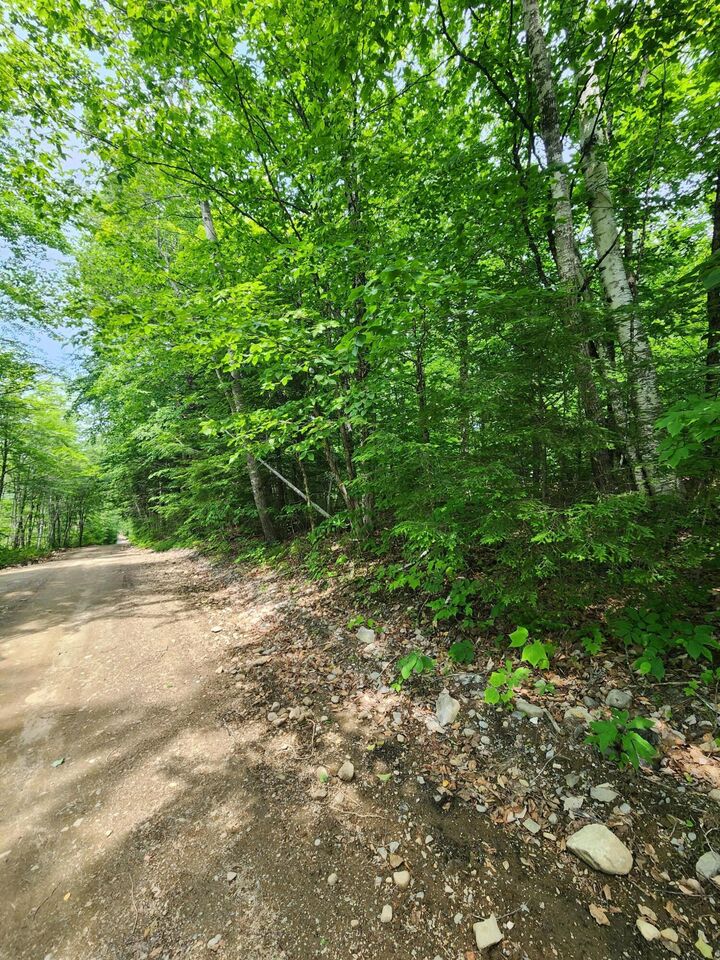 Property Photo:  Lot #44 Mill Hill Road  ME 04487 