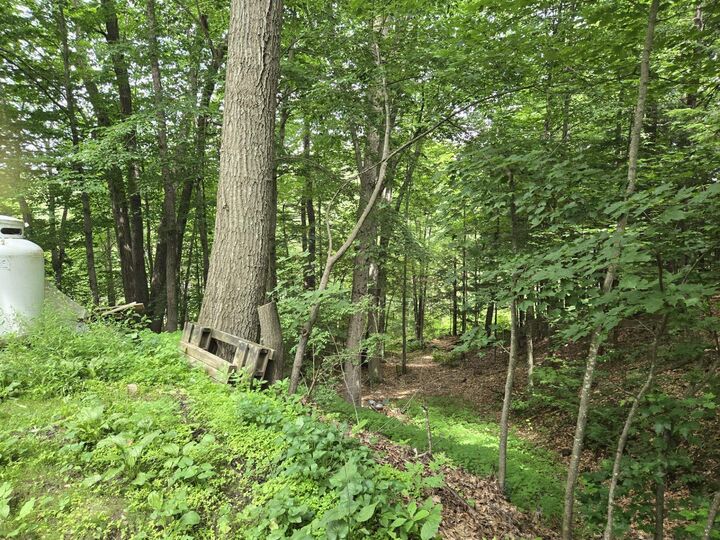 Property Photo: 208 Nh Route 3A NH 03243