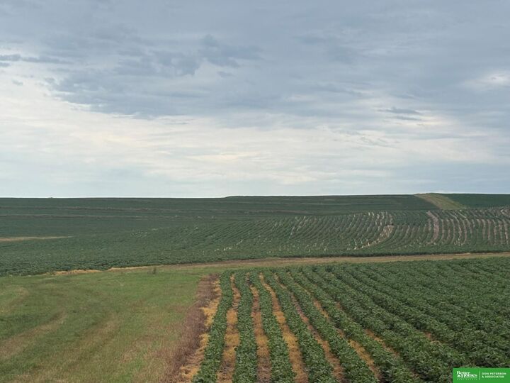 Property Photo:  81 Acres County Line Road  NE 68031 