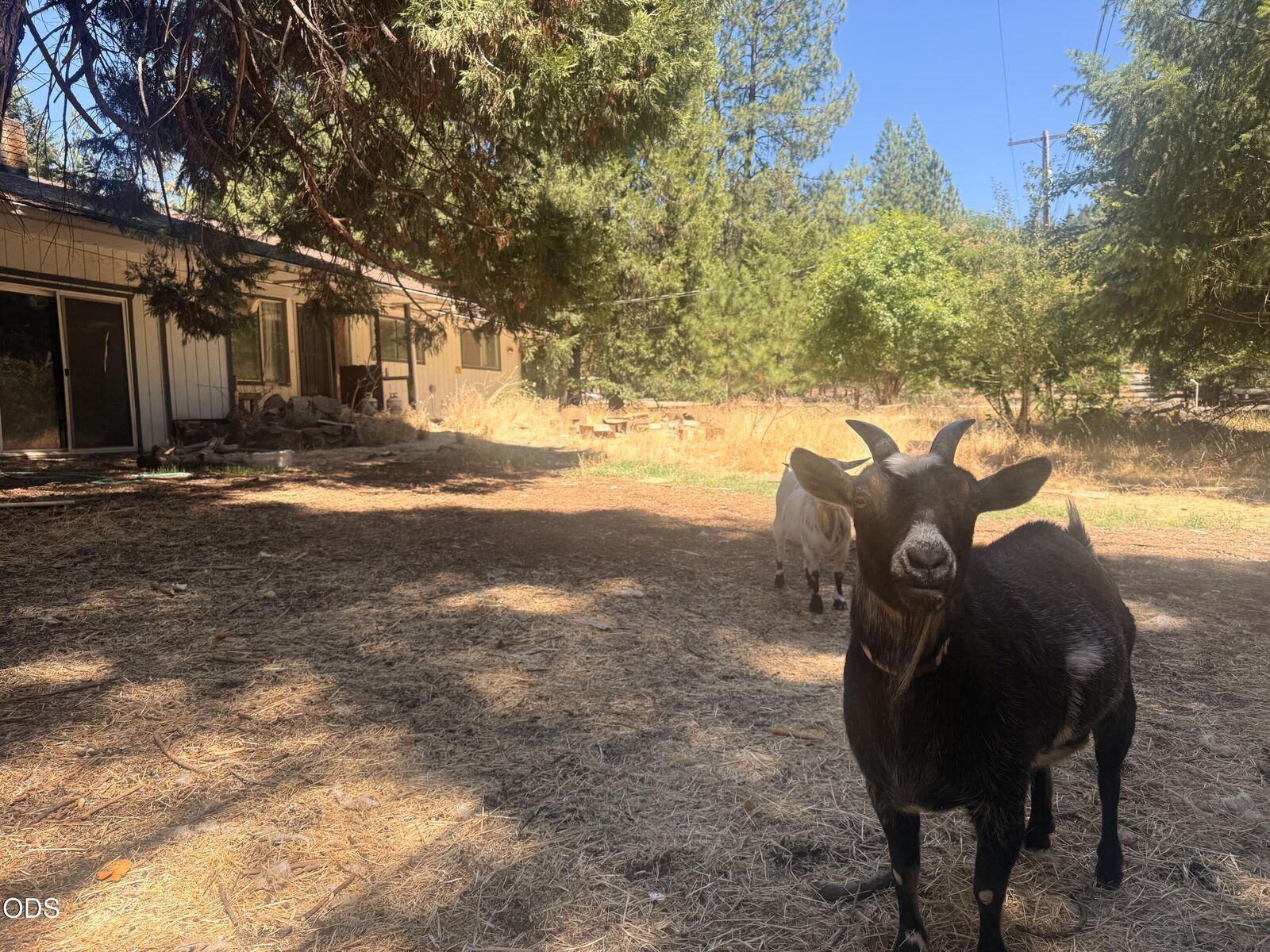 Property Photo: 6148 E Evans Creek Road OR 97537