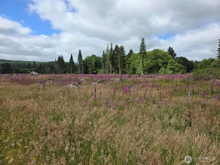 Property Photo:  0 Off Of  North River Road  WA 98537 