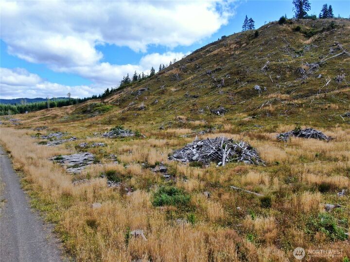 Property Photo:  0 Off Of  North River Road  WA 98537 