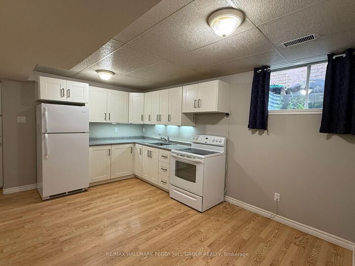 Property Photo:  171 Hanmer Street E Lower  ON L4M 6W2 